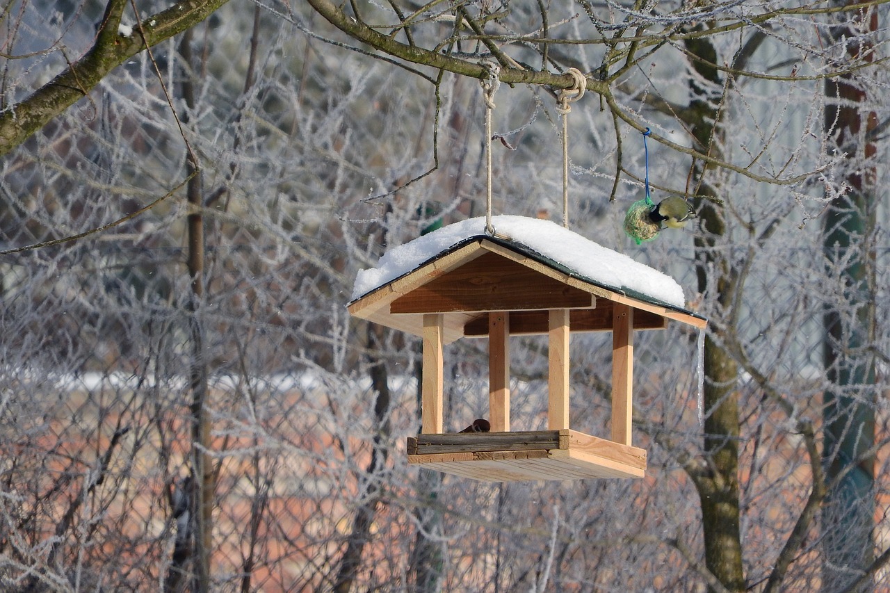 4 Easy-to-Make Bird Feeders Using Recycled Materials